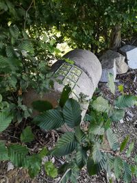 Das Granitrollen-Sockenmuster-Kunstwerk im Gegenlicht durchs Buschwerk fotografiert